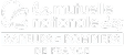 Mutuelle nationale des sapeurs pompiers
