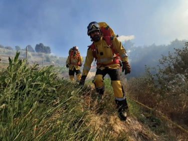pompiers dans l'herbe pour éteindre un feu